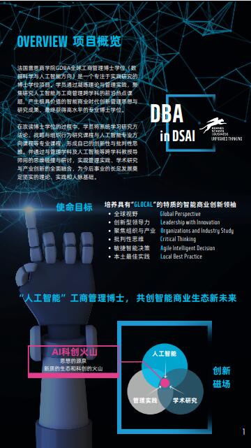 法國雷恩商學院DBA（數據科學與人工智能方向）