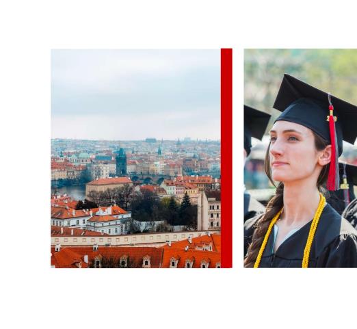 美國伊利諾伊理工大學(xué)工商管理碩士IIT MBA簡章